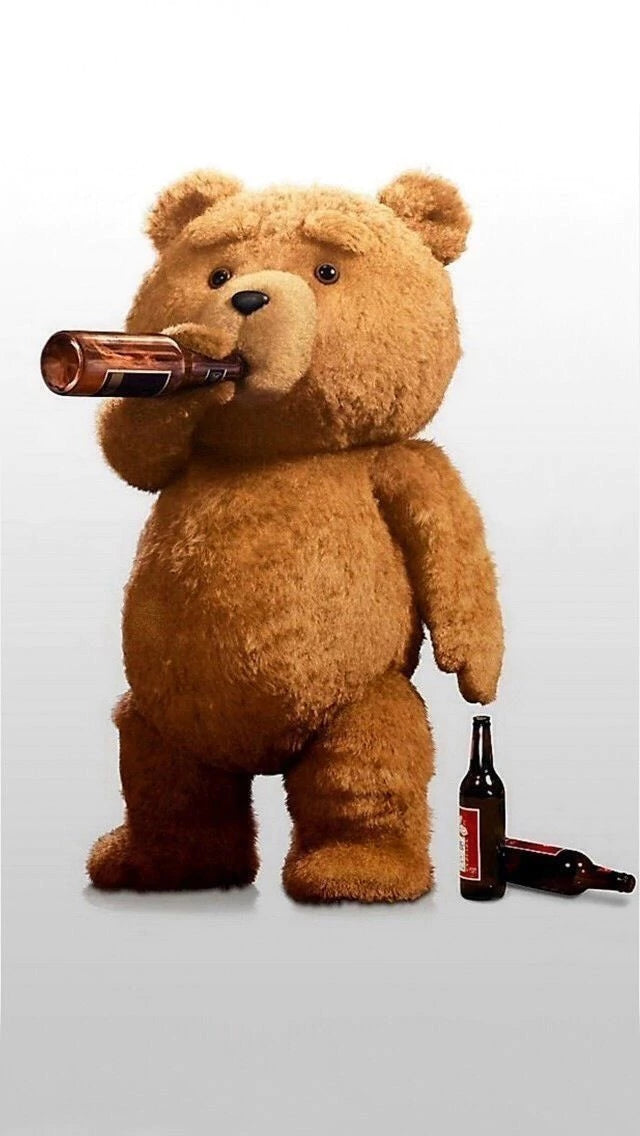 Funda Oso Teddy
